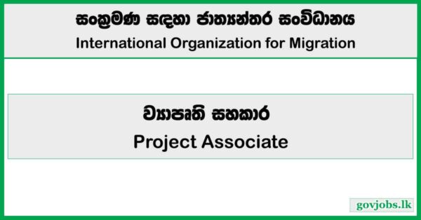 Project Associate - International Organization for Migration Job Vacancies 2026