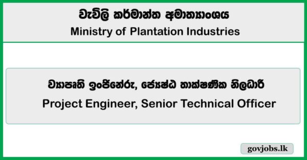 Project Engineer, Senior Technical Officer - Ministry of Plantation Industries Job Vacancies 2025
