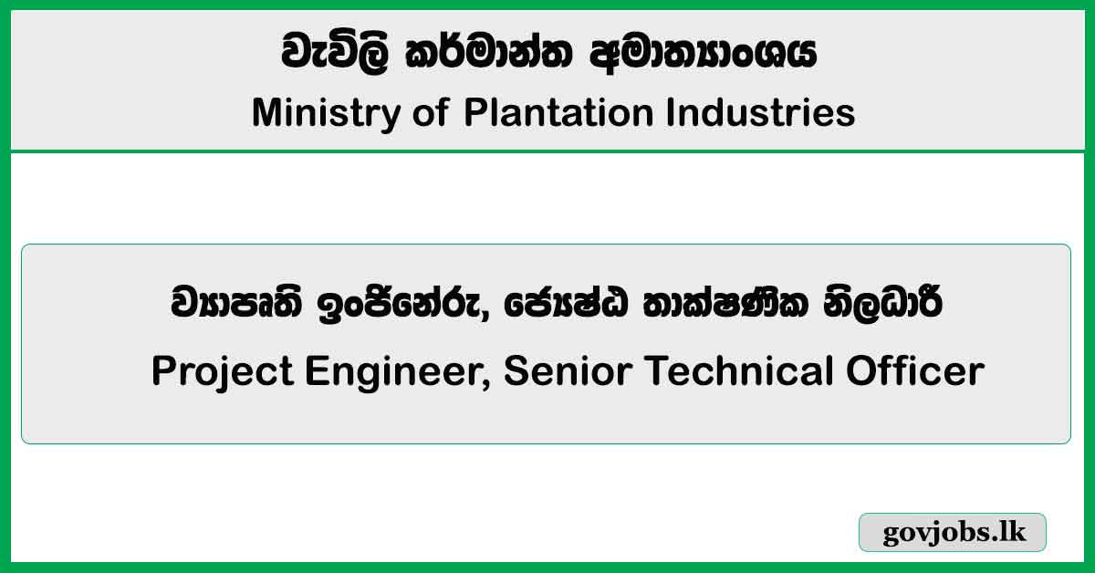 Project Engineer, Senior Technical Officer - Ministry of Plantation Industries Job Vacancies 2025