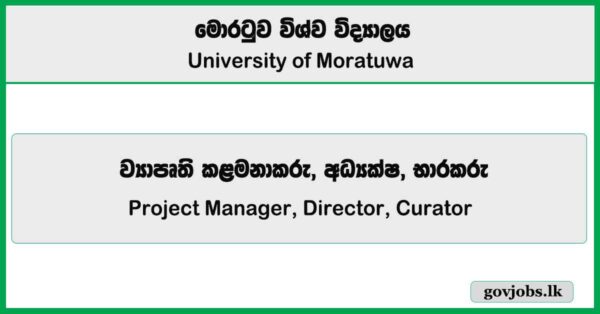 Project Manager, Director, Curator - Institute Of Technology University Of Moratuwa Job Vacancies 2025