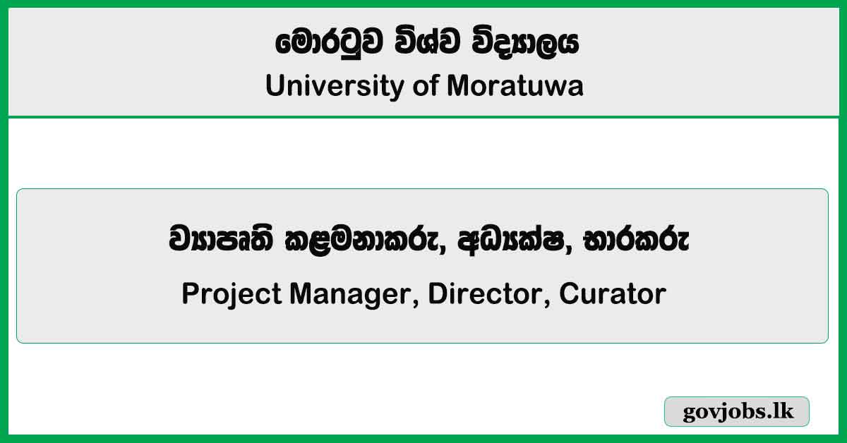 Project Manager, Director, Curator - Institute Of Technology University Of Moratuwa Job Vacancies 2025