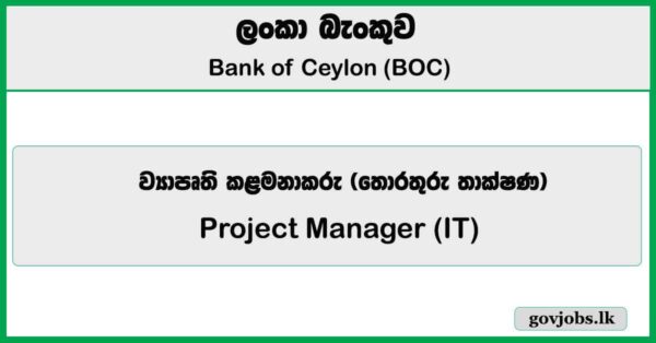 Project Manager (IT) - Bank of Ceylon Job Vacancies 2025