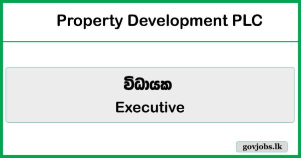 Executive - Property Development PLC Job Vacancies 2026
