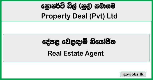 Real Estate Agent - Property Deal (Pvt) Ltd Job Vacancies 2026