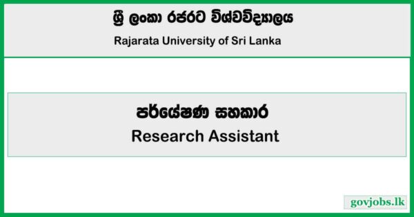 Research Assistant - Rajarata Universitya Job Vacancies 2025