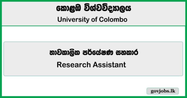 Research Assistant - University of Colombo Job Vacancies 2025