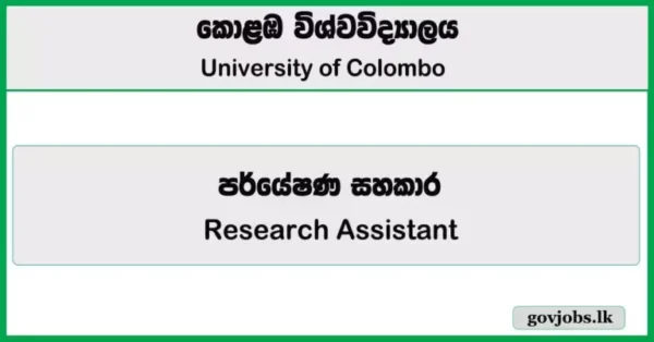 Research Assistant - University of Colombo Job Vacancies 2025