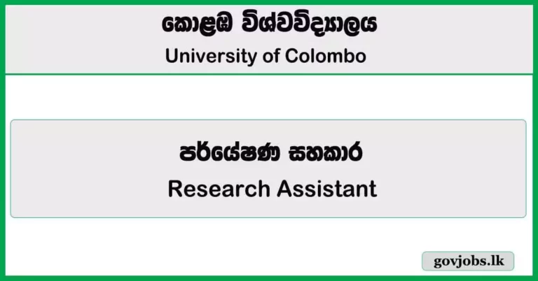 Research Assistant - University of Colombo Job Vacancies 2025