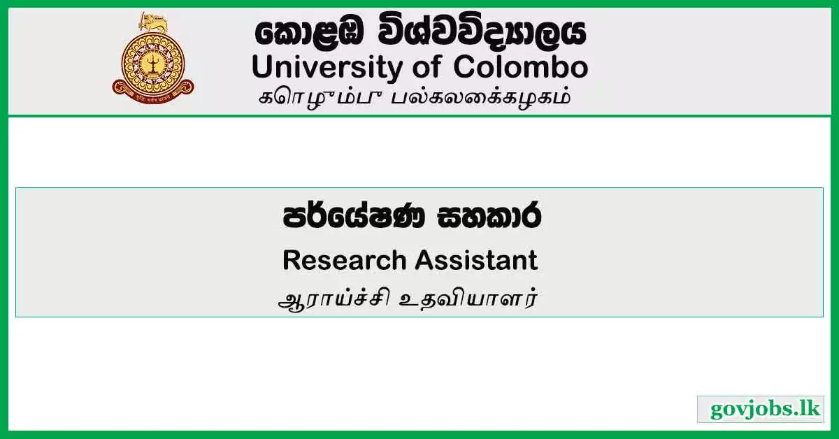 Research Assistant - University Of Colombo Job Vacancies 2024