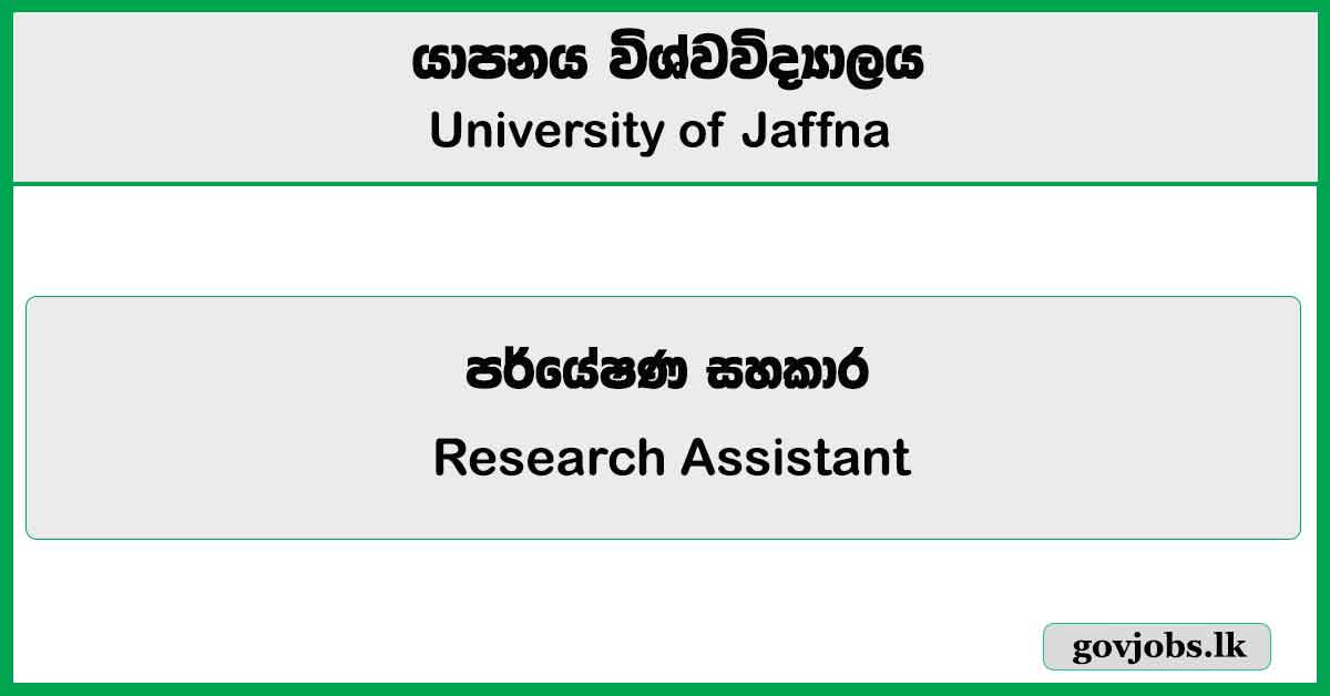 Research Assistant - University of Jaffna Job Vacancies 2024