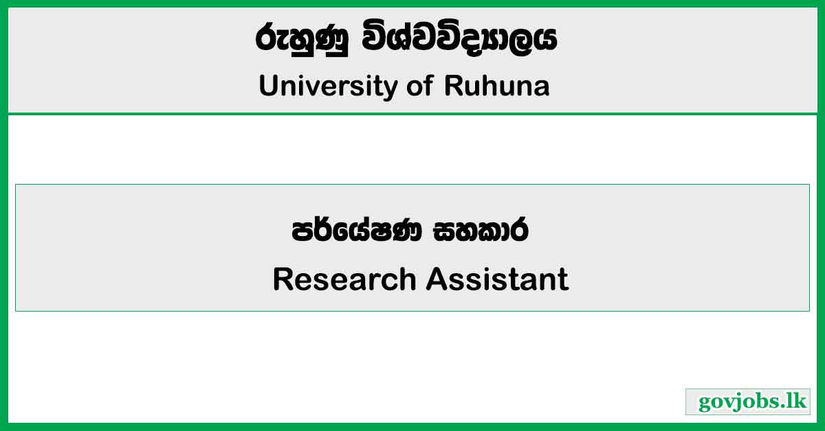 Research Assistant - University of Ruhuna Job Vacancies 2024