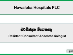 Resident Consultant Anaesthesiologist - Nawaloka Hospitals PLC Job Vacancies 2025