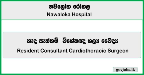 Resident Consultant Cardiothoracic Surgeon - Nawaloka Hospitals PLC Job Vacancies 2025