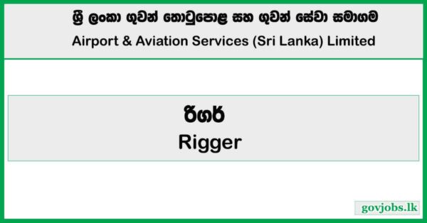 Rigger - Airport and Aviation Services Private Limited Job Vacancies 2026