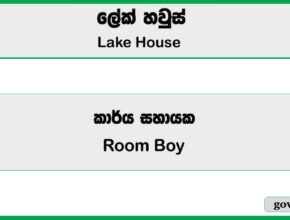 Room Boy (Kataragama Resort) – Lake House Job Vacancies 2025