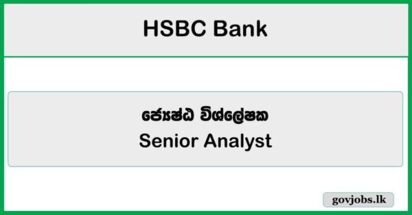 Senior Analyst – HSBC Bank Job Vacancies 2025