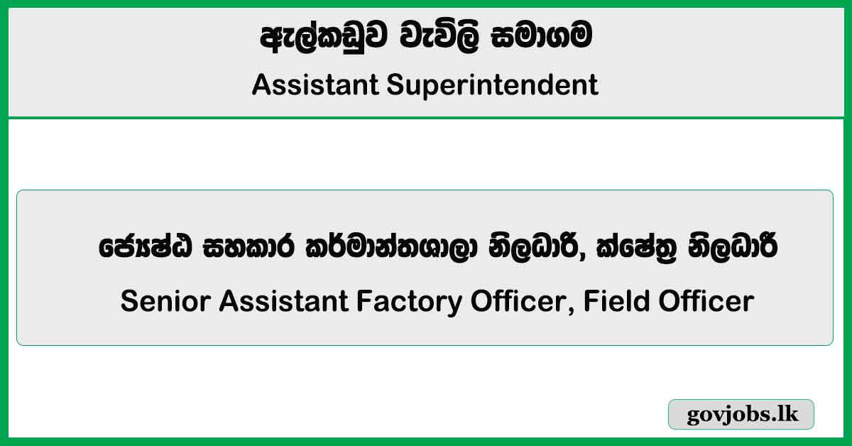 Senior Assistant Factory Officer, Field Officer - Elkaduwa Plantation Ltd Job Vacancies 2024