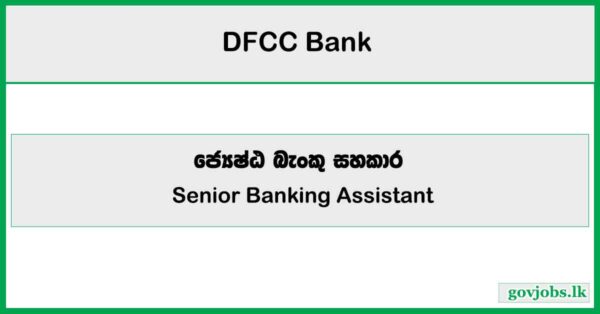 Senior Banking Assistant (Credit Services Department) - DFCC Bank Job Vacancies 2025