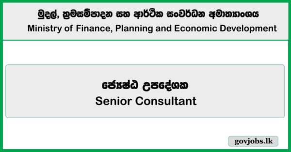 Senior Consultant – Ministry of Finance, Planning and Economic Development Job Vacancies 2025