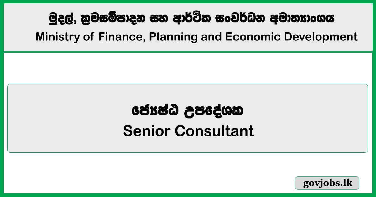Senior Consultant – Ministry of Finance, Planning and Economic Development Job Vacancies 2025