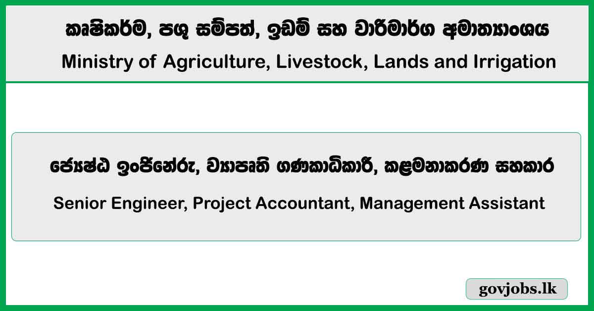 Senior Engineer, Project Accountant, Management Assistant - Ministry of Agriculture, Livestock, Lands and Irrigation Job Vacancies 2024