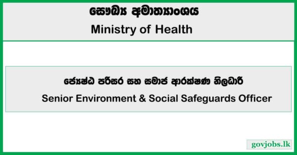 Senior Environment & Social Safeguards Officer - Ministry of Health Job Vacancies 2025