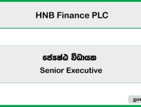 Senior Executive - FD Operation - HNB Finance PLC Job Vacancies 2025