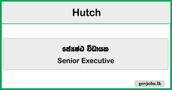 Senior Executive - Finance Operation - Hutch Job Vacancies 2026
