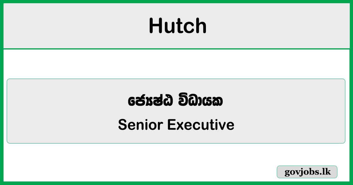 Senior Executive - Finance Operation - Hutch Job Vacancies 2026