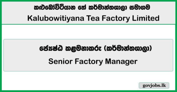 Senior Factory Manager – Kalubowitiyana Tea Factory Limited Job Vacancies 2026
