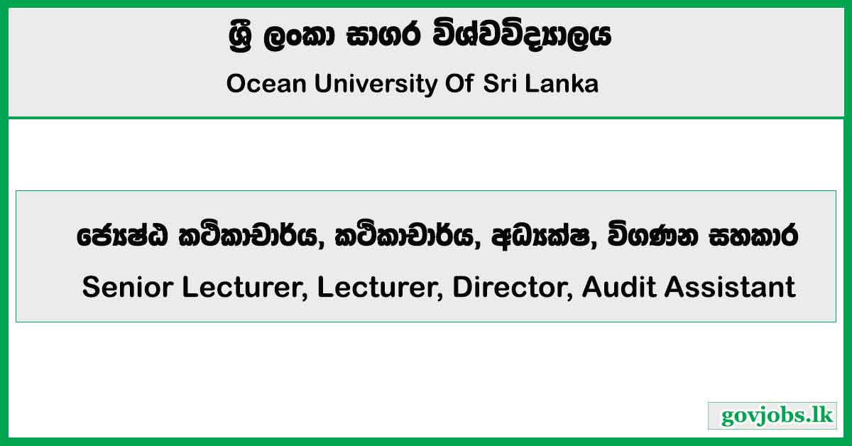 Senior Lecturer, Lecturer, Director, Audit Assistant - Ocean University of Sri Lanka Job Vacancies 2024