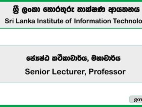 Senior Lecturer, Professor – Sri Lanka Institute of Information Technology (SLIIT) 2025 Job Vacancies