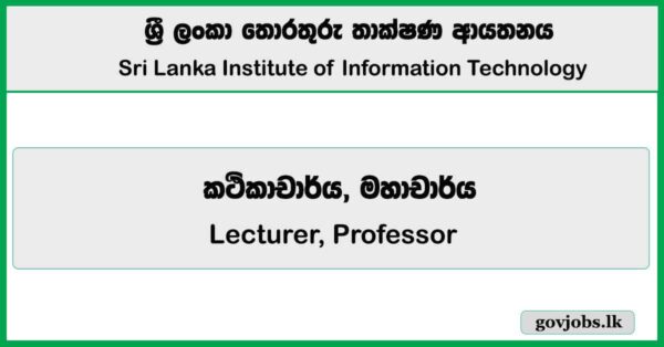 Senior Lecturer, Professor – Sri Lanka Institute of Information Technology (SLIIT) 2026 Job Vacancies