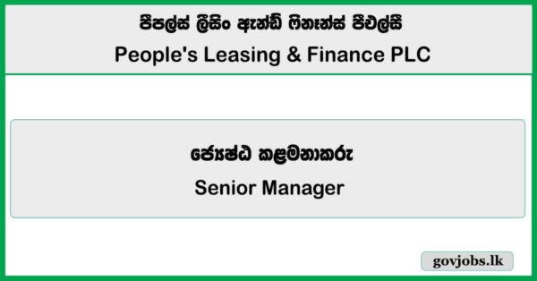 Senior Manager - Compliance - People's Leasing & Finance PLC Job Vacancies 2026