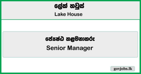 Senior Manager - Lake House Job Vacancies 2025