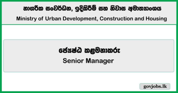 Senior Manager – Ministry of Urban Development, Construction and Housing Job Vacancies 2025