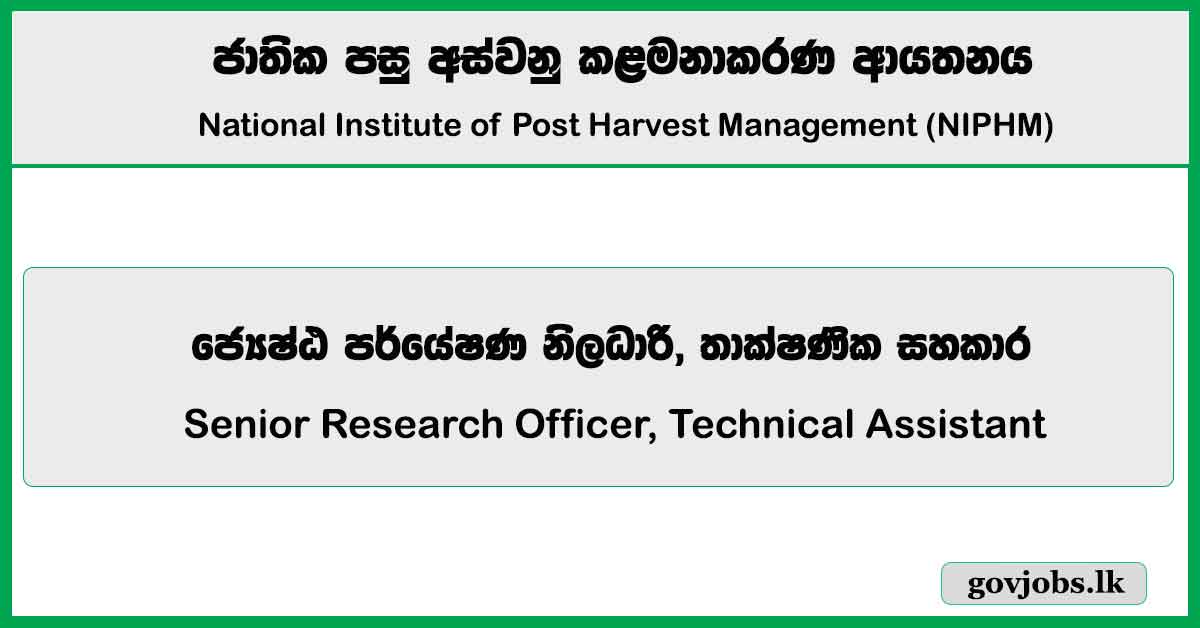 Senior Research Officer, Technical Assistant - National Institute of Post Harvest Management (NIPHM) Job Vacancies 2024