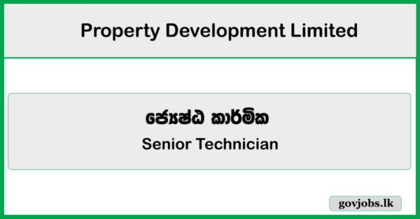 Senior Technician – Property Development Limited Job Vacancies 2025