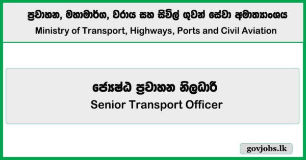 Senior Transport Officer – Ministry of Transport, Highways, Ports and Civil Aviation Job Vacancies 2025