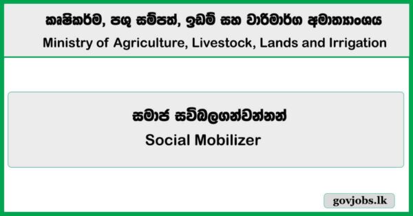 Social Mobilizer - Ministry of Agriculture, Livestock, Lands and Irrigation Job Vacancies 2025