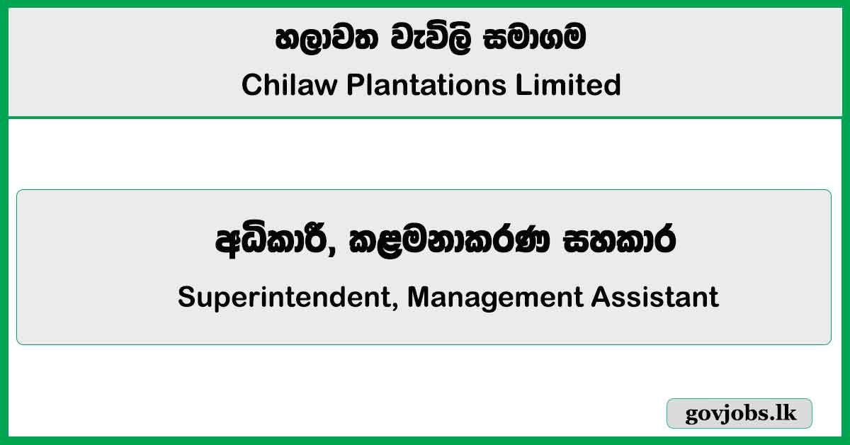 Superintendent, Management Assistant - Chilaw Plantations Limited Job Vacancies 2025