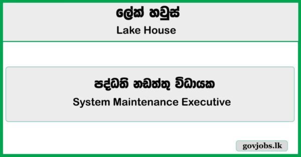 System Maintenance Executive - Lake House Job Vacancies 2025