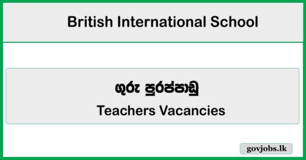 Teachers - British International School Job Vacancies 2026