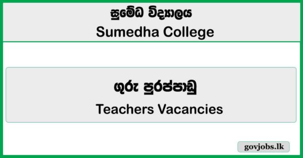 Teachers - Sumedha College Job Vacancies 2026