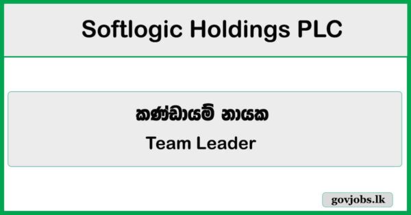 Team Leader - Call Center - Softlogic Holdings PLC Job Vacancies 2026
