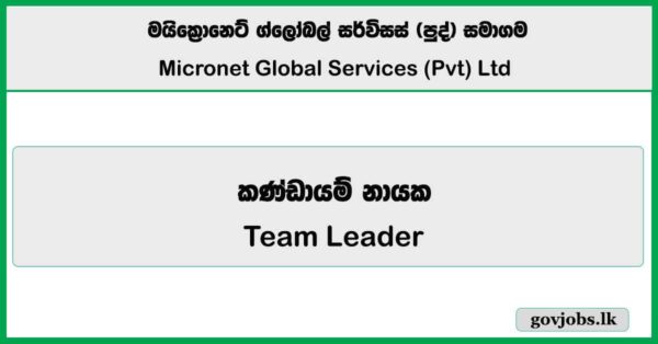 Team Leader - Micronet Global Services (Pvt) Ltd 2026 Job Vacancies