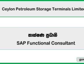 Tech Lead (Full Stack) – Ceylon Petroleum Storage Terminals Limited Job Vacancies 2025
