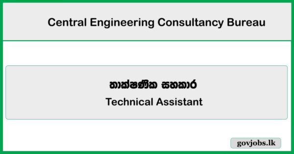 Technical Assistant - Central Engineering Consultancy Bureau Job Vacancies 2025