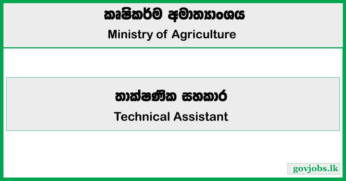 Technical Assistant - Ministry of Agriculture Job Vacancies 2025