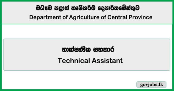 Technical Assistant – Department of Agriculture of Central Province Job Vacancies 2026